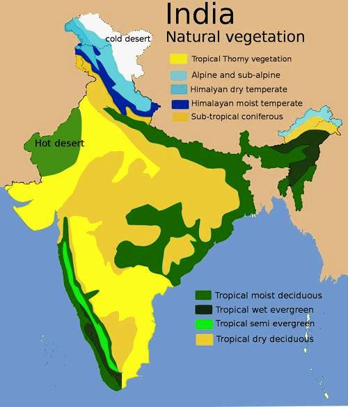 India Natural Vegetation